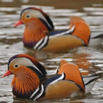 Amuletos chinos para el amor